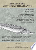 Fishes of the Western North Atlantic. class Osteichthyes, order Acipenseroidei, order Lepisostei, order Isospondyli, suborder Elopoidea, suborder Clupeoidea, suborder Salmonoidea /