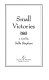 Small victories : a novel / by Sallie Bingham.