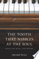 The tooth that nibbles at the soul : essays on music and poetry /
