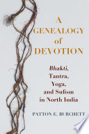 A genealogy of devotion : Bhakti, Tantra, Yoga, and Sufism in North India /
