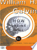 How brains think : evolving intelligence, then and now /