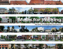 Made for walking : density and neighborhood form /