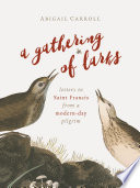 A gathering of larks : letters to Saint Francis from a modern-day pilgrim /