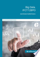 Big data. IFCT128PO /