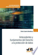 Antecedentes y fundamentos del Derecho a la proteccion de datos /