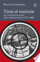 Tiran al maricon : los fantasmas queer de la democracia (1970-1988) : una interpretacion de las subjetividades gais ante el Estado espanol /