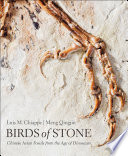 Birds of stone : Chinese avian fossils from the age of dinosaurs / Luis M. Chiappe and Meng Qingjin.