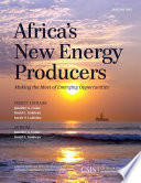 Africa's new energy producers : making the most of emerging opportunities /