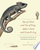 Eye of newt and toe of frog, adder's fork and lizard's leg : the lore and mythology of amphibians and reptiles /