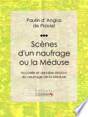 Scenes d'un naufrage ou la Meduse : Nouvelle et derniere relation du naufrage de la Meduse /