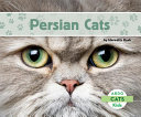 Persian Cats / by Meredith Dash.