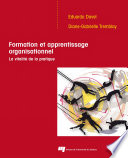 Formation et apprentissage organisationnel : la vitalité de la pratique /