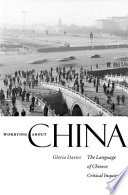 Worrying about China : the language of Chinese critical inquiry /