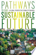 Pathways to Our Sustainable Future : a Perspective from Pittsburgh / Patricia M. DeMarco.