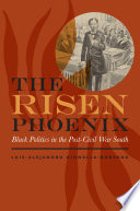 The risen phoenix : Black politics in the post-Civil War south / Luis-Alejandro Dinnella-Borrego.