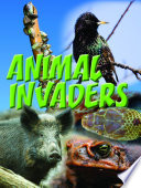 Animal invaders / Amanda Doering Tourville.