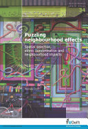 Puzzling neighbourhood effects : spatial selection, ethnic concentration and neighbourhood impacts /