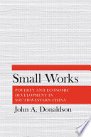 Small works : poverty and economic development in southwestern China /