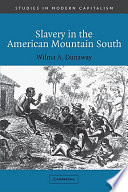 Slavery in the American Mountain South /