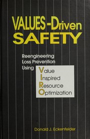 Values-driven safety : reengineering loss prevention using value inspired resource optimization /