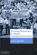 Courting democracy in Mexico : party strategies and electoral institutions /