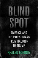 Blind spot : America and the Palestinians from Balfour to Trump /