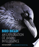 Bird brain : an exploration of avian intelligence /