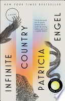 Infinite country : a novel /