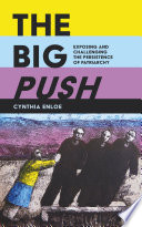 The big push : exposing and challenging the persistence of patriarchy / Cynthia Enloe.