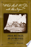 "What shall we do with the Negro?" : Lincoln, white racism, and Civil War America /