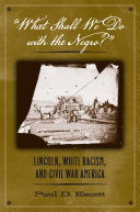 "What shall we do with the Negro?" : Lincoln, white racism, and Civil War America / Paul D. Escott.