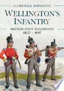 Wellington's infantry