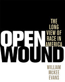 Open wound : the long view of race in America / William McKee Evans.