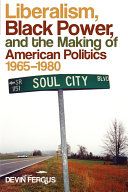 Liberalism, Black power, and the making of American politics, 1965-1980 /