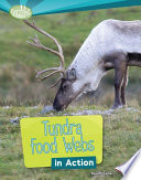 Tundra food webs /