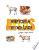 Atlas : anatomia topografica /