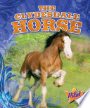 The Clydesdale horse /