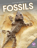 Fossils / by Jenny Fretland VanVoorst.