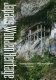 Japan's wooden heritage : a journey through a thousand years of architecture / Terunobu Fujimori and Mitsumasa Fujitsuka ; translated by Hart Larrabee.