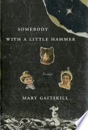 Somebody with a little hammer : essays / Mary Gaitskill.