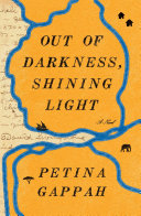 Out of darkness, shining light : a novel /