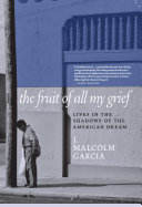 The fruit of all my grief : lives in the shadows of the American dream /