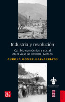 Industria y revolucion : cambio economico y social en el valle de Orizaba, Mexico / Aurora Gomez Galvarriato.