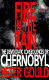 Fire in the rain : the democratic consequences of Chernobyl /