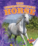 The thoroughbred horse /