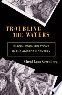 Troubling the waters : Black-Jewish relations in the American century /