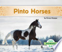 Pinto horses /