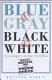 Blue & gray in black & white : newspapers in the Civil War /