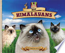 Hip Himalayans /