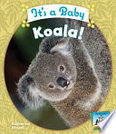 It's a baby koala! /